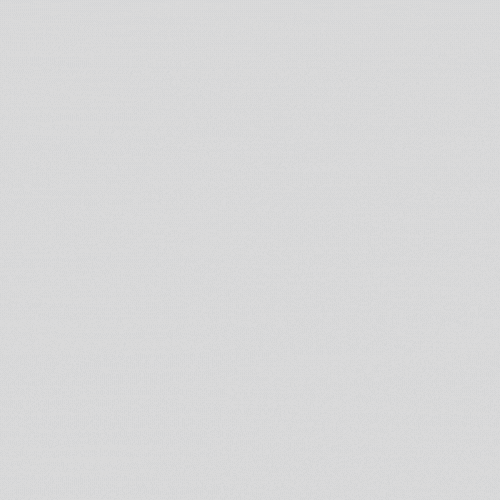 Dachbegr&uuml;nung (5)