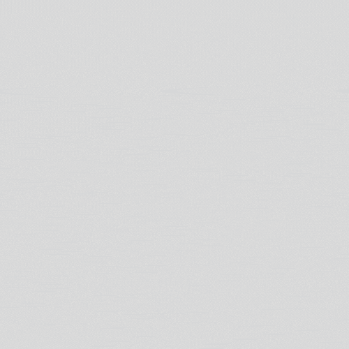 Dachbegr&uuml;nung (7)